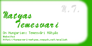 matyas temesvari business card