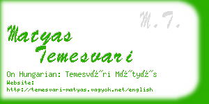 matyas temesvari business card